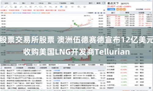 股票交易所股票 澳洲伍德赛德宣布12亿美元收购美国LNG开发商Tellurian