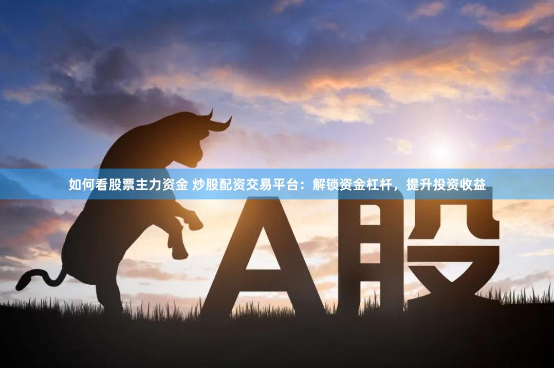 如何看股票主力资金 炒股配资交易平台：解锁资金杠杆，提升投资收益