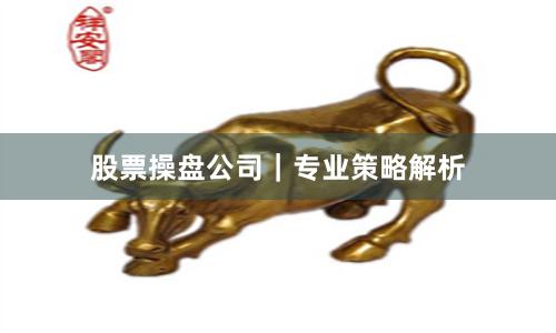 股票操盘公司｜专业策略解析